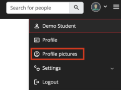 Screenshot of Profile pictures button